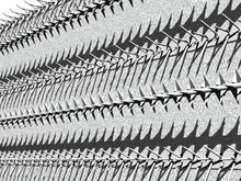 Ornament und Verbrechen